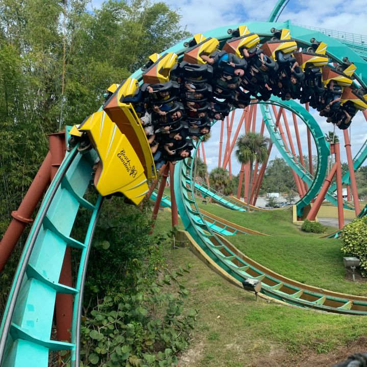 Fun Days Out