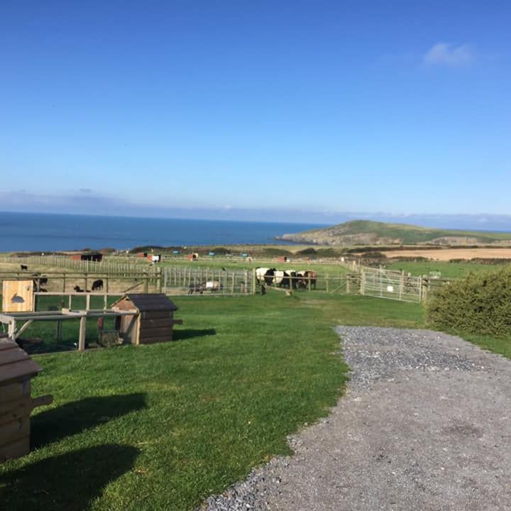 Cardigan Island Coastal Farm Park