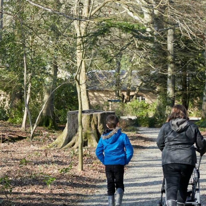 Llanerchaeron to Aberaeron Walk