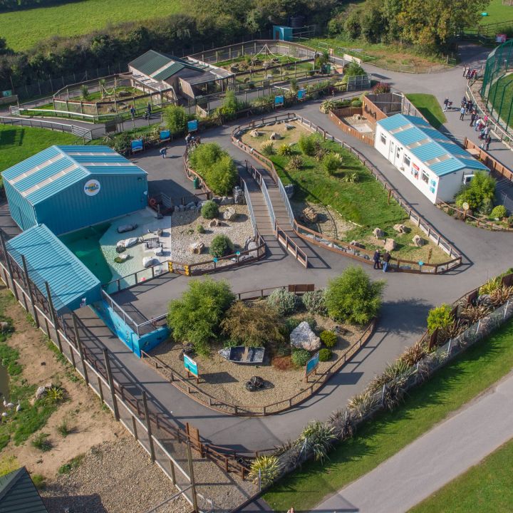 Folly Farm